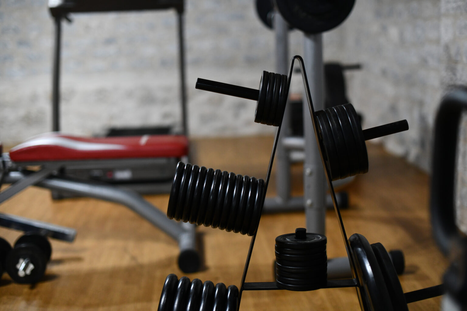 Free weights and training equipment in the light-filled FOS Gym